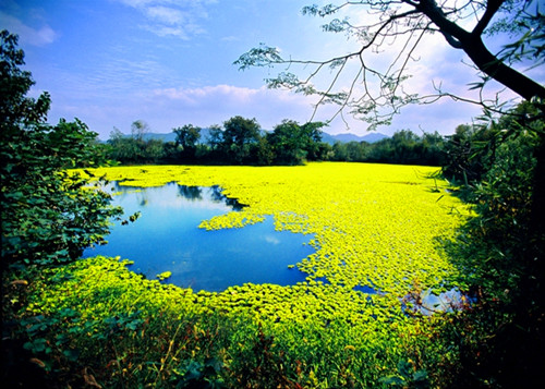 1515206355435665.jpg 201122004314202.jpg