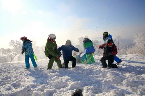 1515397526345503.jpg QQ图片20180108153405.jpg