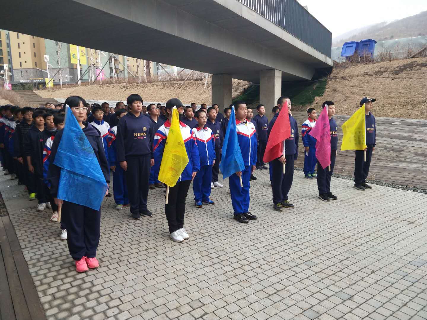 1527319269472986.jpg 1527319269472986.jpg