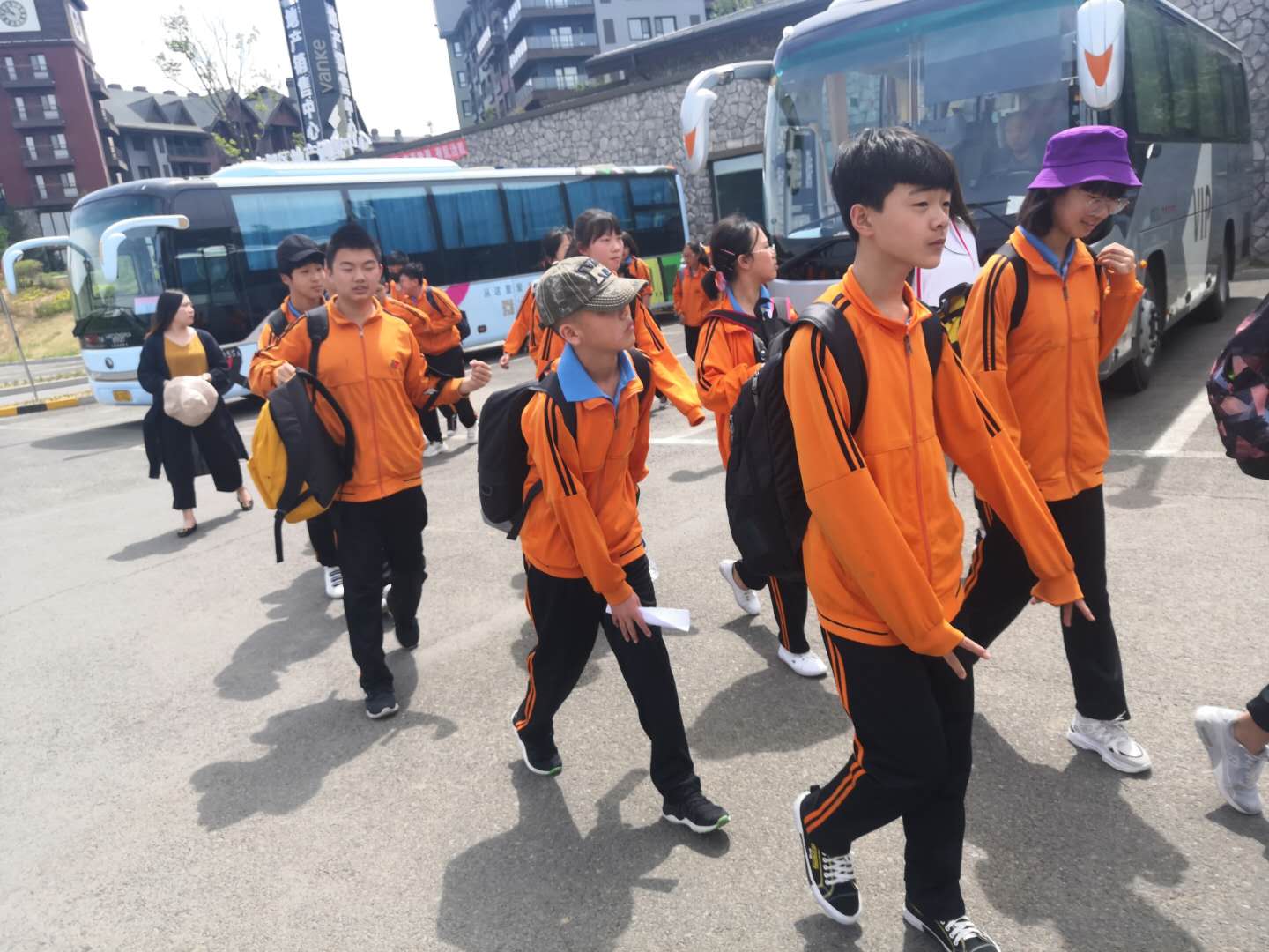 1558329894193143.jpg 366496d77f807ed62507dbc7c8a0a39.jpg