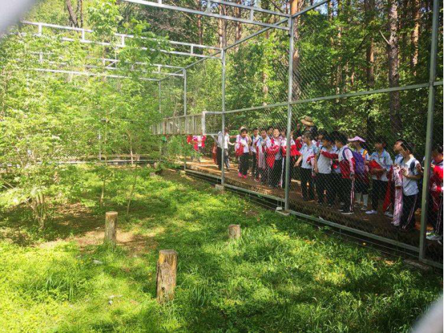 1561620118723140.png image.png