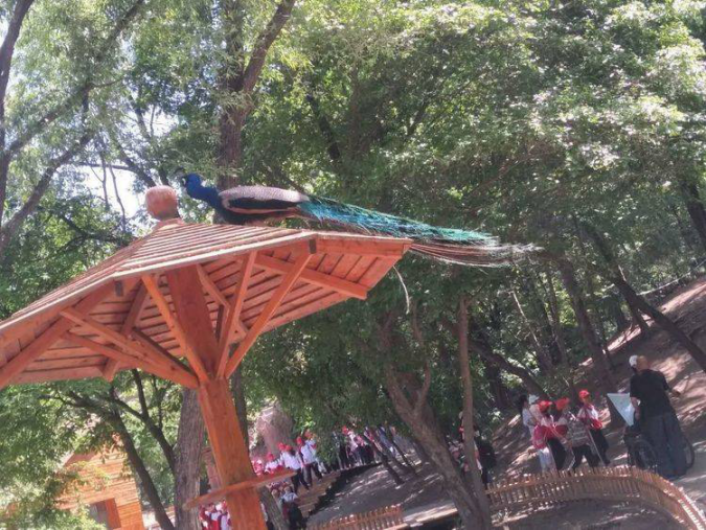 1561620127875351.png image.png