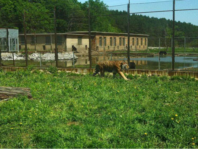 1561620156689093.png image.png