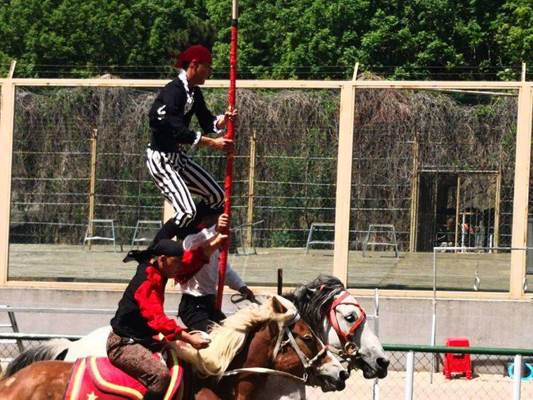 1561620294969971.png image.png