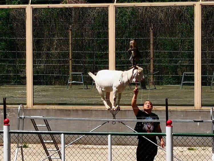 1561620303635007.png image.png