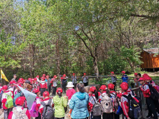 1561620575790549.png image.png