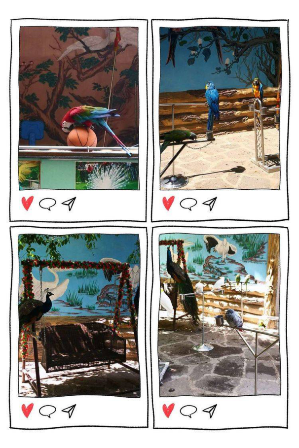 1561620644332030.png image.png