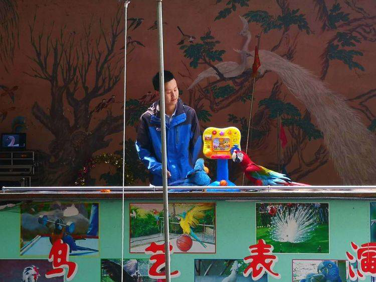 1561620693251517.png image.png