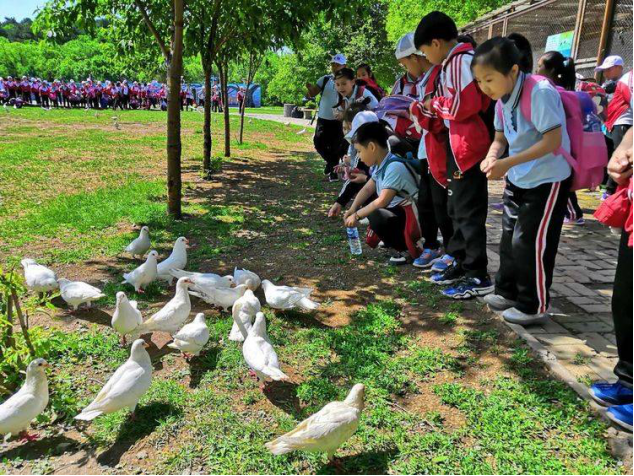 1561620712736659.png image.png