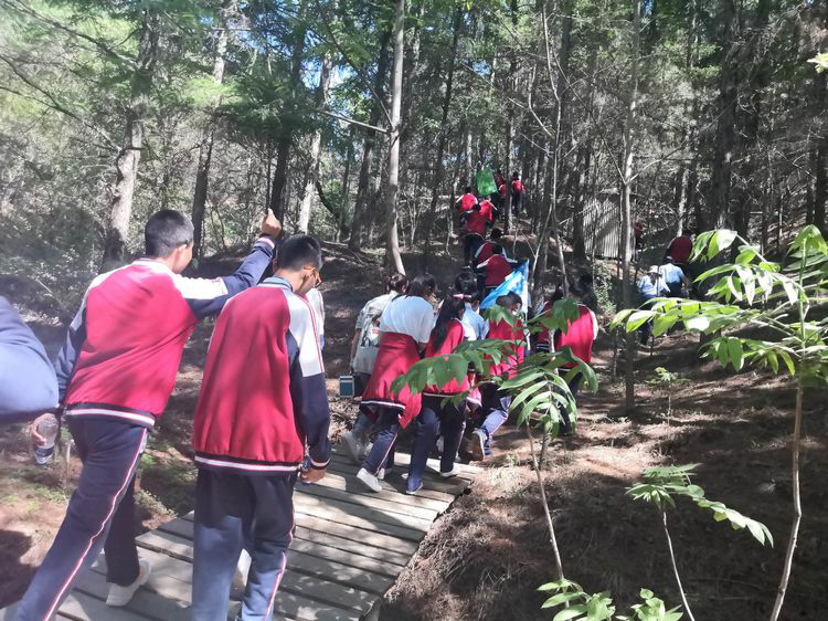 1565320936108736.png image.png